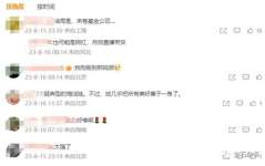 基金吧小姐姐,揭秘投资界的魅力女神