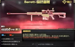 长沙小姐姐巴雷特,独特魅力与时尚态度的完美融合