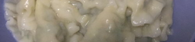 小姐姐做菜系,小姐姐带你领略多元菜系魅力