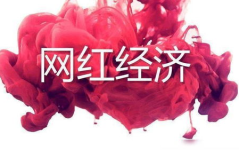 进步网红,进步网红的崛起与影响力