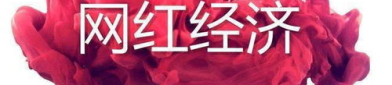 进步网红,进步网红的崛起与影响力