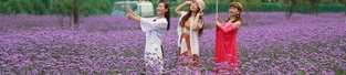 光山网红地方,探寻这座古城的时尚魅力